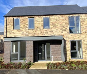 3 bedroom semi-detached house to rent - Photo 6