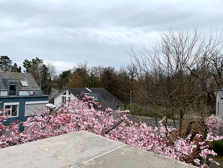 2.5-Zimmer-Dachwohnung auf dem Bruderholz mit zwei Terrassen - Foto 4