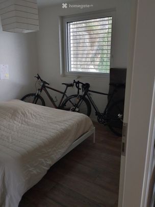 2.5 Zimmer, 65 m² - Photo 1