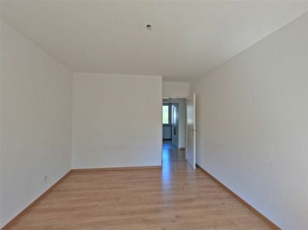 #verliebtinschaffhausen - wundervolle Wohnung mit neuer Küche, neuem Bad und sonnigem Balkon - Photo 5