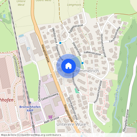 Gibufstrasse 6, 9552 Bronschhofen, Schweiz