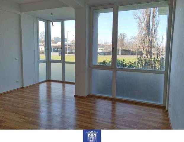 Wohnen am Großen Garten! Die perfekte Wohnung mit optimaler Raumaufteilung! - Foto 1