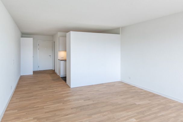 1.5 Zimmer, 3. Stock - Photo 1