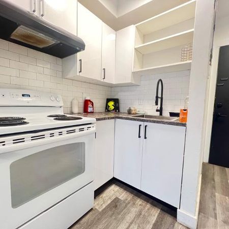 1 CH - 1 SDB - Montréal - $1,250 /mo - Photo 3