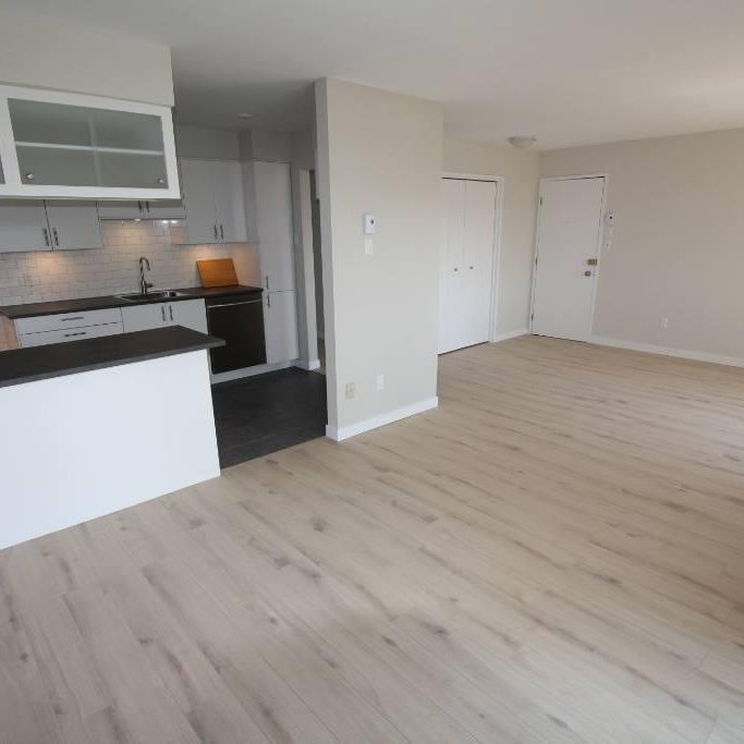 BOUCHERVILLE, spacieux 4 1/2 à louer de style Condo à aire ouverte (1000pi carré). - Photo 1