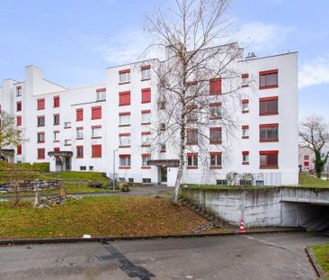 sunny residential neighborhood in a child-friendly environment - Photo 6