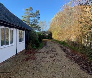 Traice Road, NR16 1HQ - Photo 5