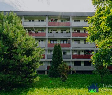 Bieruń - Фото 3