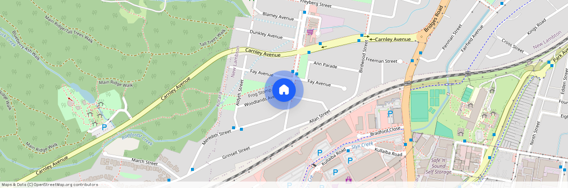 91 Orchardtown Road, NSW 2305, New Lambton