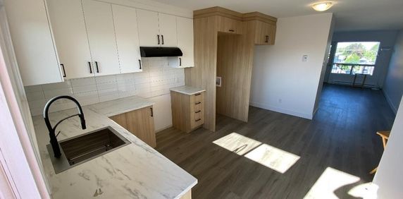 4 ½ rénové à louer – Sainte-Rose, Laval - Tranquille - Photo 2