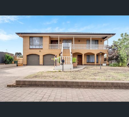 13 Cormorant Place, Wynn Vale, SA 5127 - Photo 5