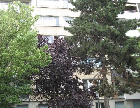 2 Zimmer, 38 m², EG - Photo 1