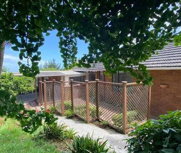 Rural Living Close To Pokeno and Motorway - Photo 2