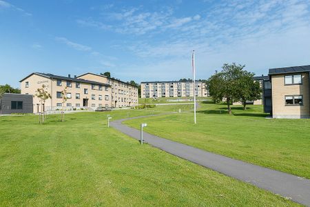 Afd. 6 Bjellerupparken - Photo 5