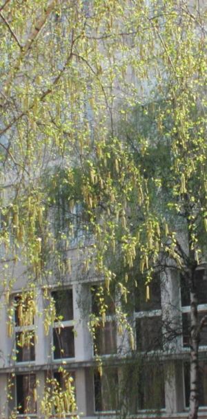 Location appartement T5 110.52m² à Reims (51100) - Photo 1