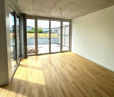 Erstbezug: Moderne 4.5-Zimmer-Wohnung in Terrassenhaus - Photo 3