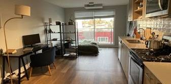 Cat Friendly Studio Apartment for rent (FIRST MONTH FREE) - Photo 2