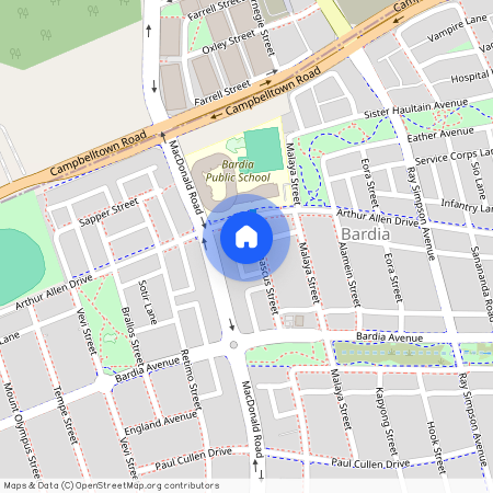 4a Damascus Street, NSW 2565, Bardia