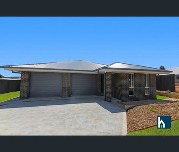 2/15 Elm Street, Gunnedah, NSW 2380 - Photo 4