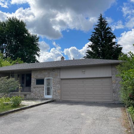 For Lease - 141 Garden Avenue Unit# Back, Richmond Hill, Ontario - Photo 4