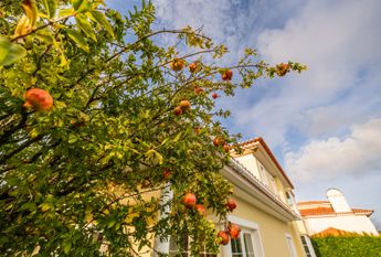 MORADIA DE LUXO T5 +1 NA PENHA LONGA RESORT - SINTRA