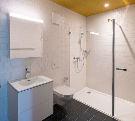 Your dream apartment in the new Riverside district in Zuchwil - Photo 5