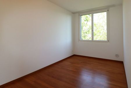 Moderne 3 1/2-Zimmer-Attika-Wohnung mit grossartiger Aussicht - Photo 4