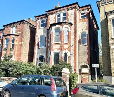 Lennox Road South - Photo 6