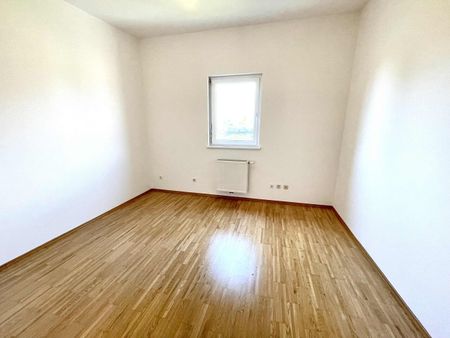 Penthouse-Wohnung mit XXL-Dachterrasse mit Süd/West-Ausrichtung in Grazer Bezirk Liebenau – Provisionsfrei! - Photo 2