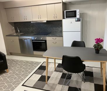 Timmermansgatan, Luleå - Foto 4