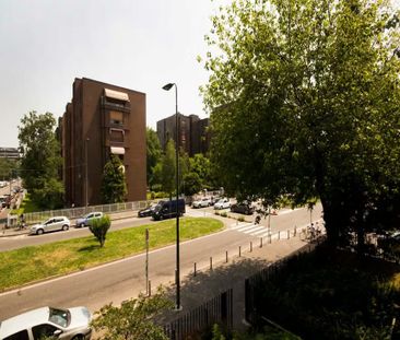 Via Bartolomeo DAlviano, Milan, Lombardy 20146 - Photo 3