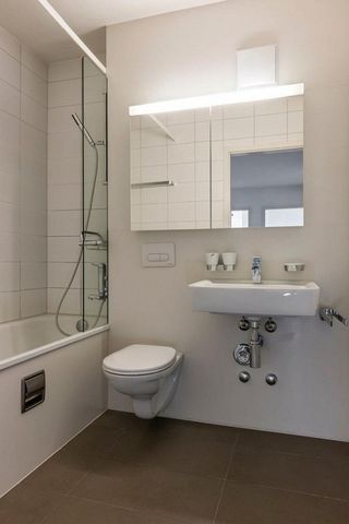 Searching for a wonderful view of Birsfelden - Photo 4