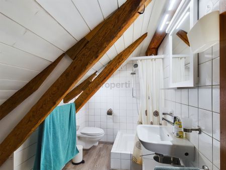 Möblierte 2-Zimmer-Dachgeschosswohnung am See in Steckborn - Photo 2