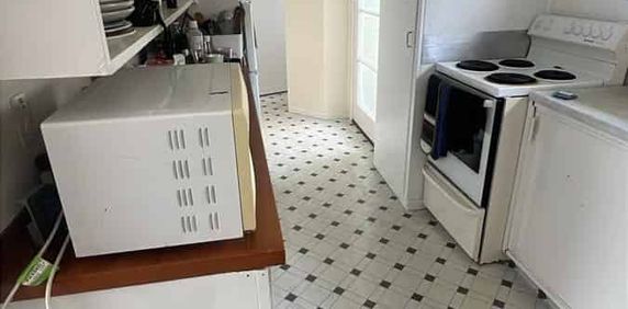 3 Bedroom House - Paeroa - Photo 2