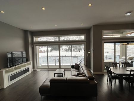 FURNISHED 4 Bed/3.5 Home in Black Mountain - Photo 3