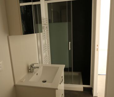 Location Appartement 1 pièce 20m² - Photo 4