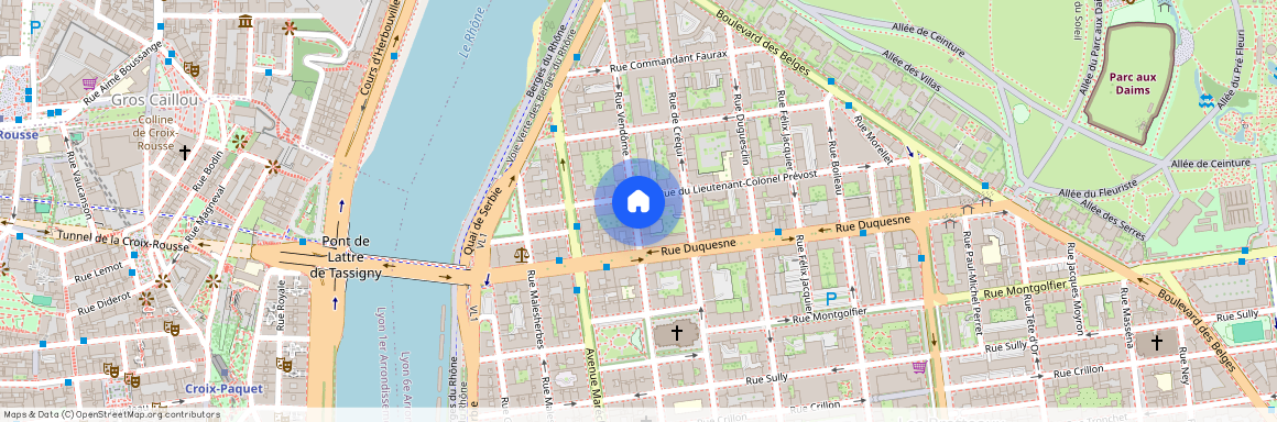 37 RUE VENDOME, LYON 6EME ARRONDISSEMENT l'Helvetie