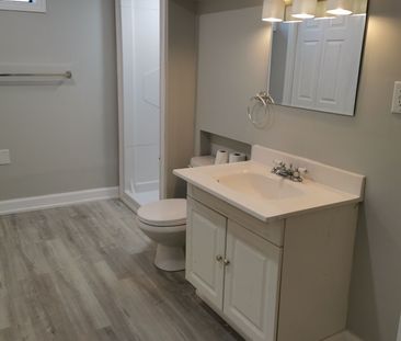 For Lease - 74 Aileen Drive Unit# Lower, Woodstock, Ontario - Photo 4