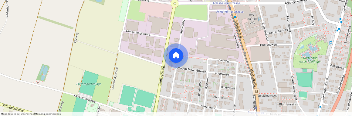 Traugott Meyer-Strasse 15, 4147 Aesch BL