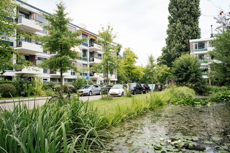 De Lairesselaan 91 - Foto 5