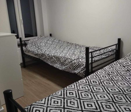 Grodziski, Jaktorów, Chylice Kolonia - Zdjęcie 4