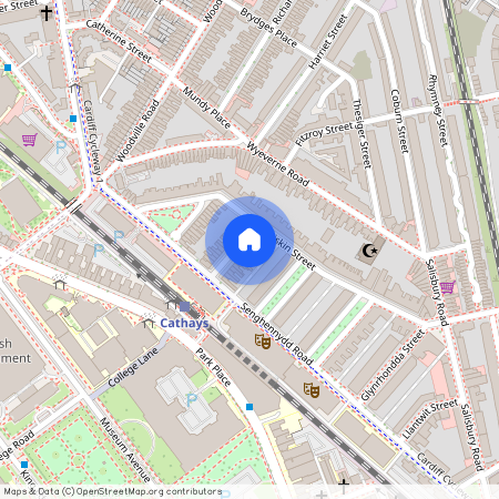 Llandough Street, CF24 4AW, Cathays