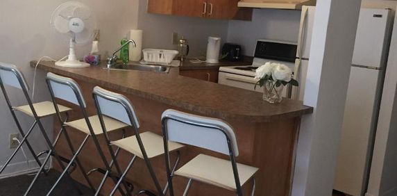 GHETTO MCGILL- 3 ½ RÉNOVÉ & MEUBLÉ – 1 CHAMBRE FERMÉE - Photo 2