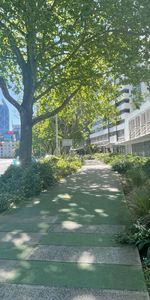 2 bedroom apartment with 2 parking - Photo 3