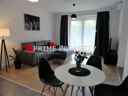 Mieszkanie Kraków Stare Miasto powierzchnia 77.0 m² C389-WM-69129 - Photo 3