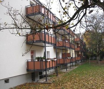 Frisch sanierte 2-Zimmer-Wohnung mit großem Balkon - Foto 1