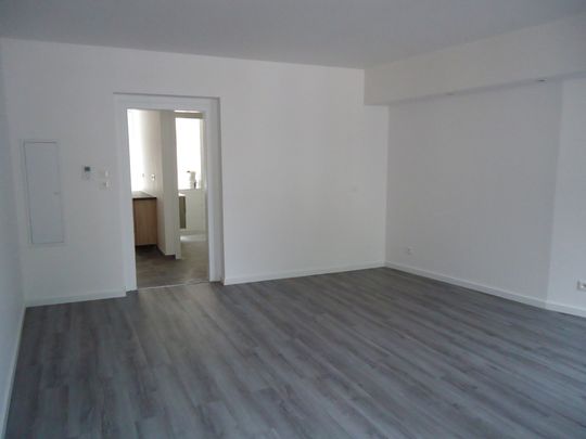 Location Appartement 1 pièce 37m² SELESTAT 67600 - Photo 1