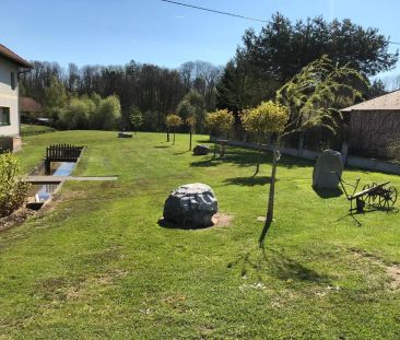 NEU - Idyllisches Wohnen in Ruhelage - Nähe Wels - - Foto 5