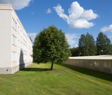 Dirigentvägen, Skellefteå - Foto 1