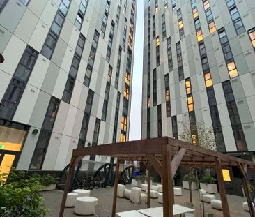 Extra Large High Double Studio - Photo 1